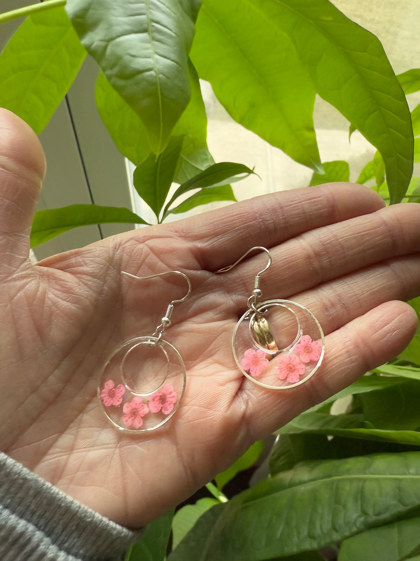 Resin Art  Earrings with Real Pink Forget me Nots. With 925 Sterling Silver Plated Hooks