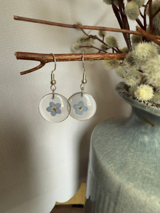 Resin Art Earrings With Real Blue Forget me Nots with 925 Sterling Silver Plated Hooks