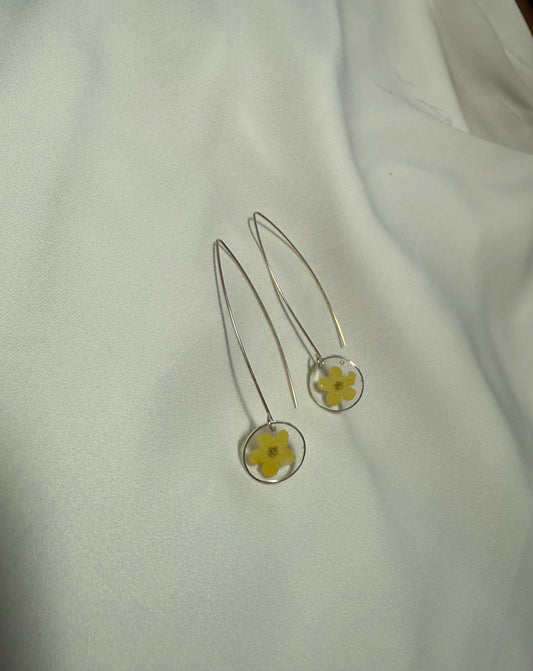 Resin Art Dangle Earrings. Made With Real Yellow Forget Me Nots With 925 Sterling Silver Plated Hooks
